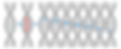 variants_vertical.png