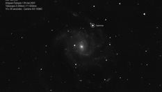 Supernova dans la galaxie M101