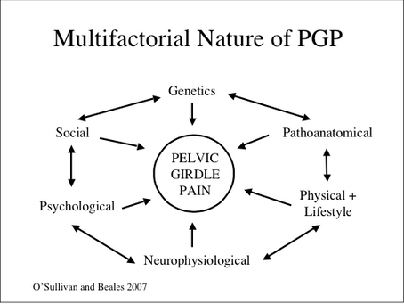 Pelvic Girdle Pain (PGP) in pregnancy