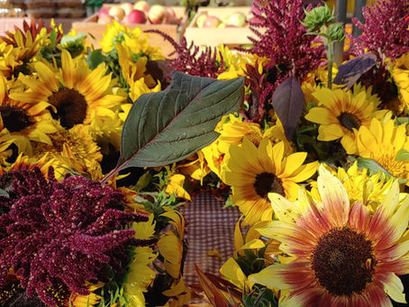 September 25 Market Day