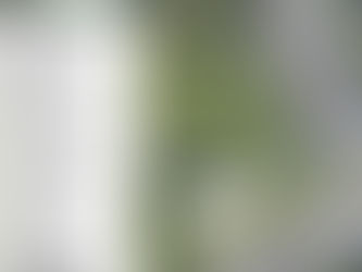 Holiday Market 11/20/21