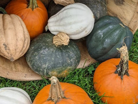 Market Day October 2, 2021