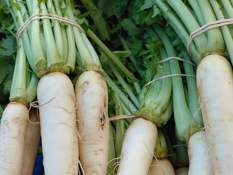 Market Day, July 23, 2022