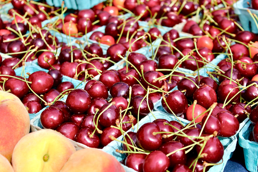 Wakefield Farmers Market Continues to Grow: Community, Gratitude & This Week's Lineup