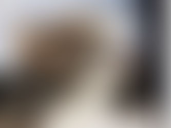 Un chat qui miaule