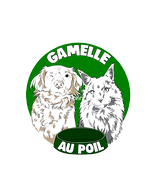 partenaire-aude-carrez-nutritionniste-chat