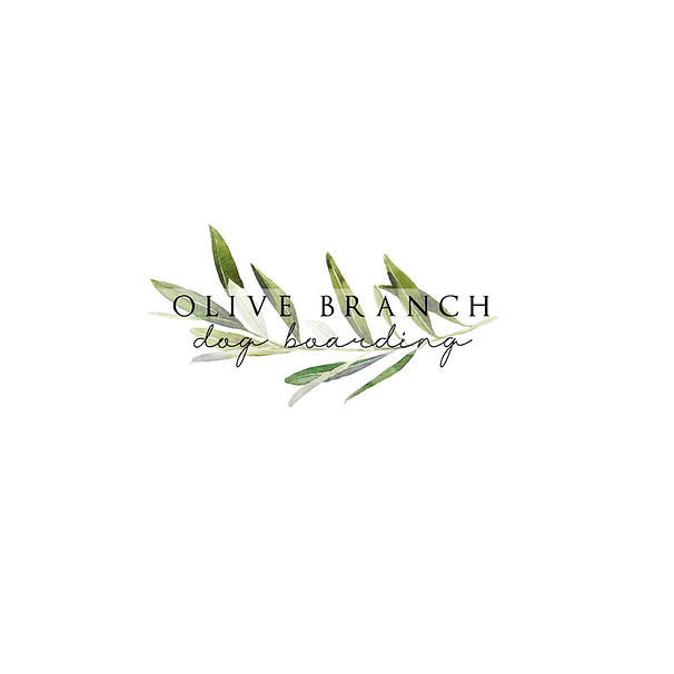NEWLOGO.jpg