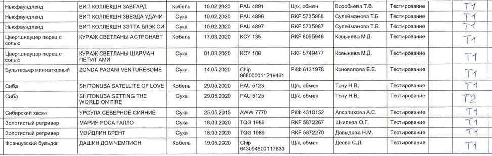 Сводная ведомость Тестирование Галактика 260621.jpg