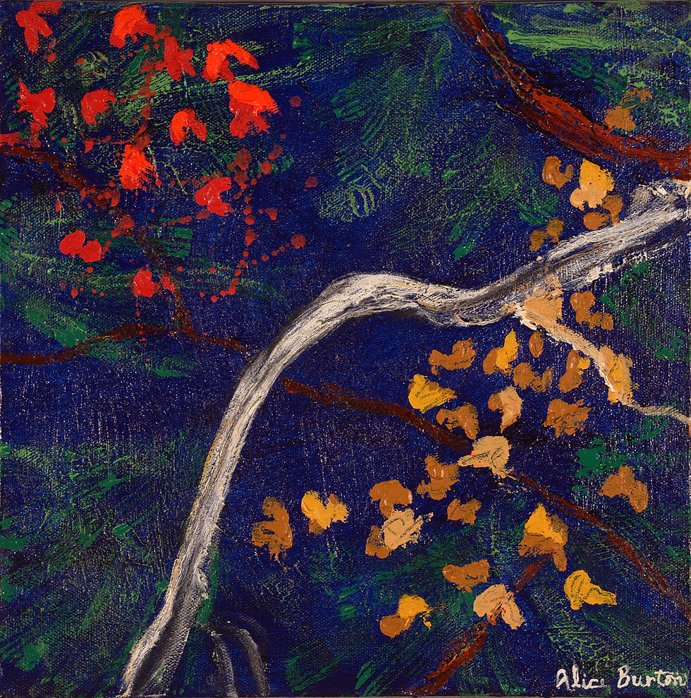 Branches