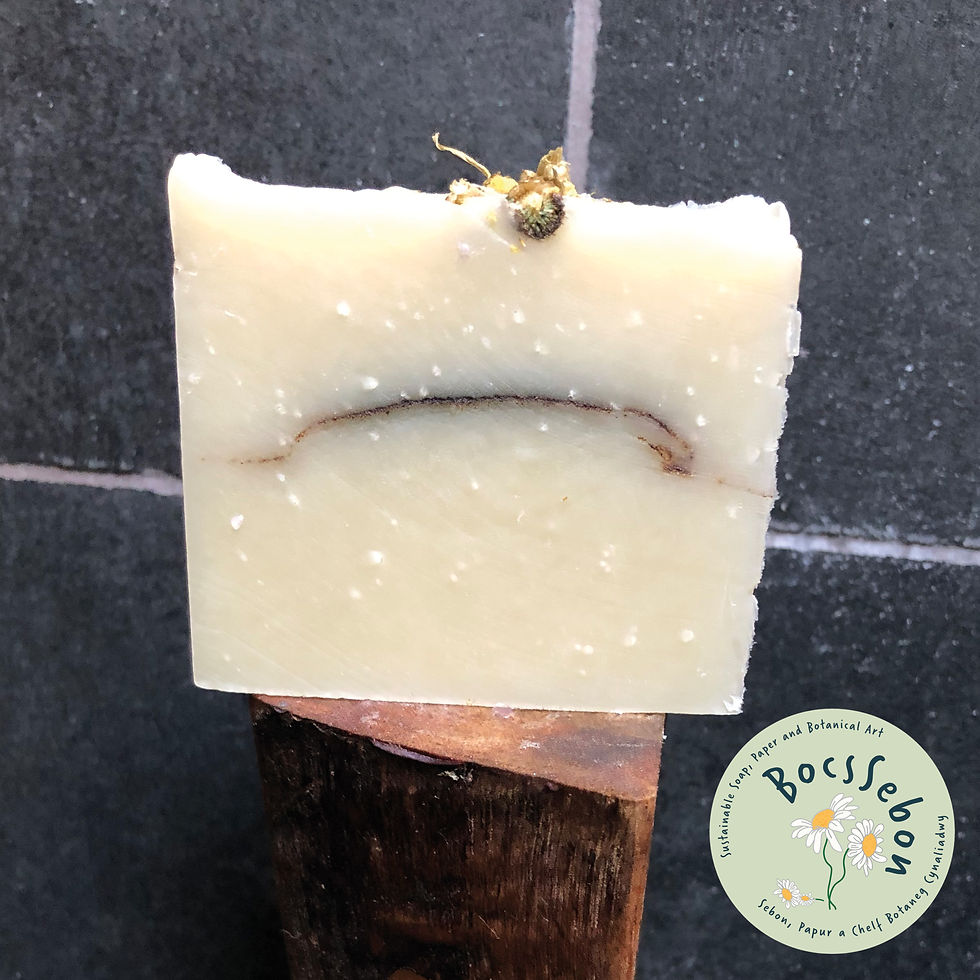 Close up of the Chamomile and kelp soap bar in the shower.