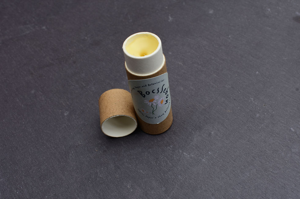 Thumbnail: Cardboard tube lip balm close up on a slate background.