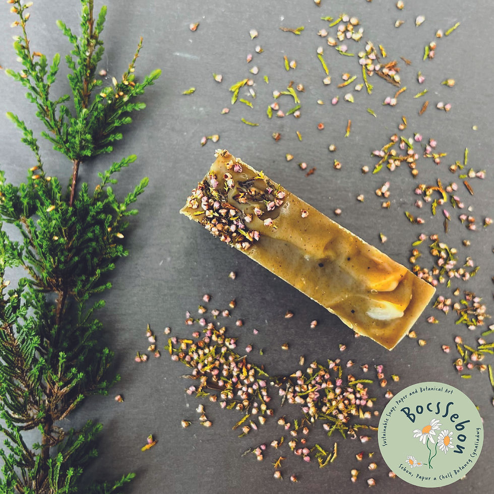 Thumbnail: image from above a green tea and grapefruit soap bar.