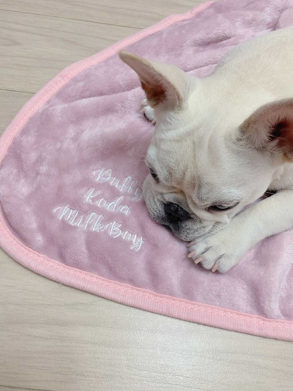 Thumbnail: Personalised Dog Blanket