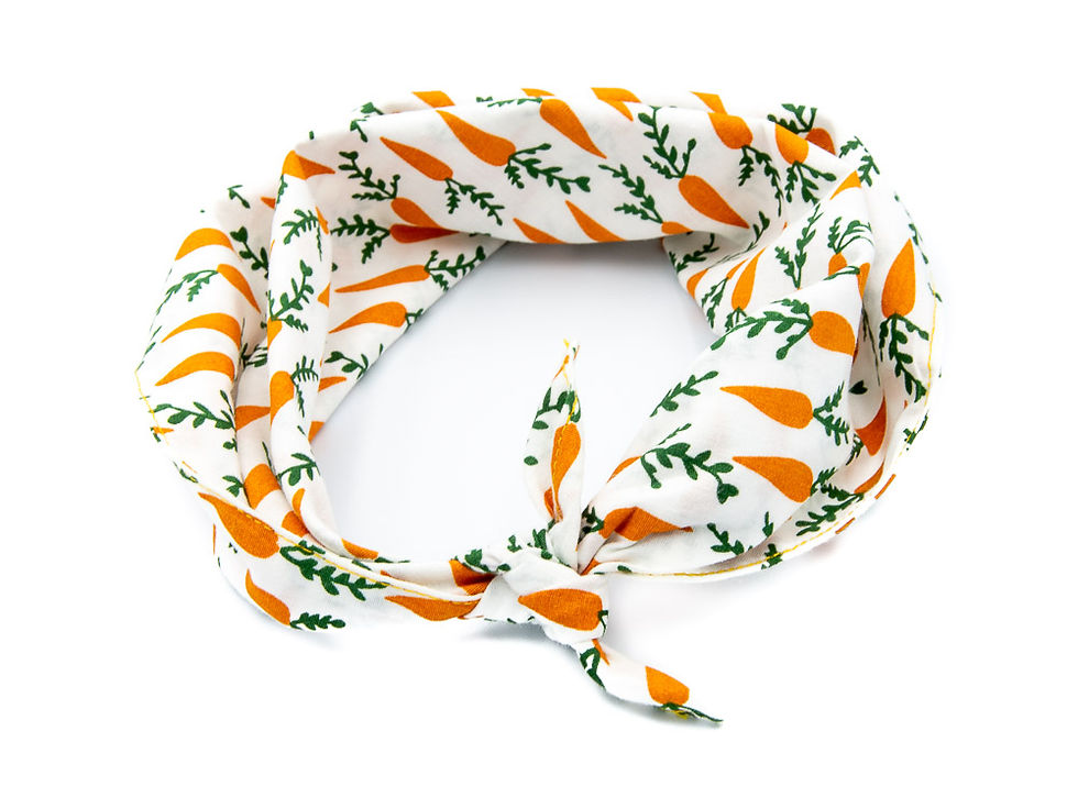 Thumbnail: Yummy Carrot Bandana