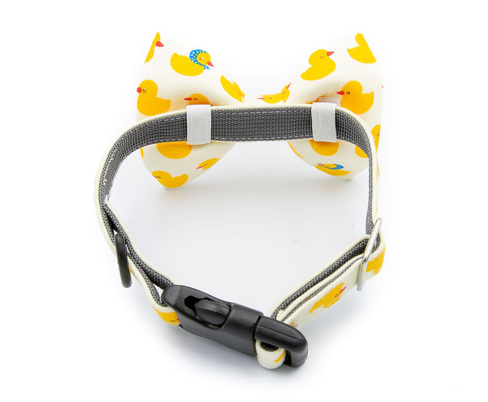 Thumbnail: Duck Bow Tie Collar
