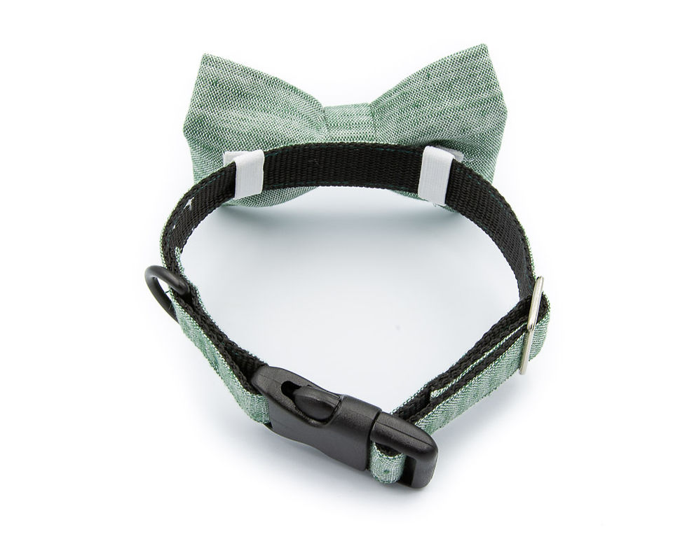 Thumbnail: Chic Green Bow Tie Collar