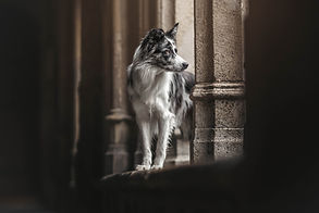 _07A8965-Edit.jpg
