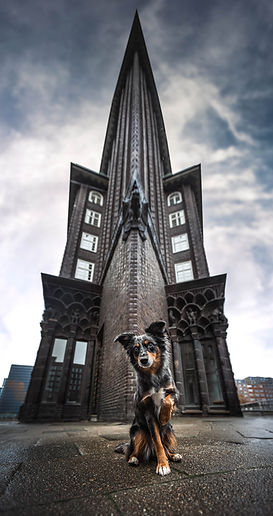 _07A7708-Edit.jpg