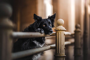 _07A2259-Edit.jpg