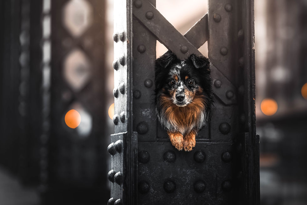 _07A7829-Edit.jpg