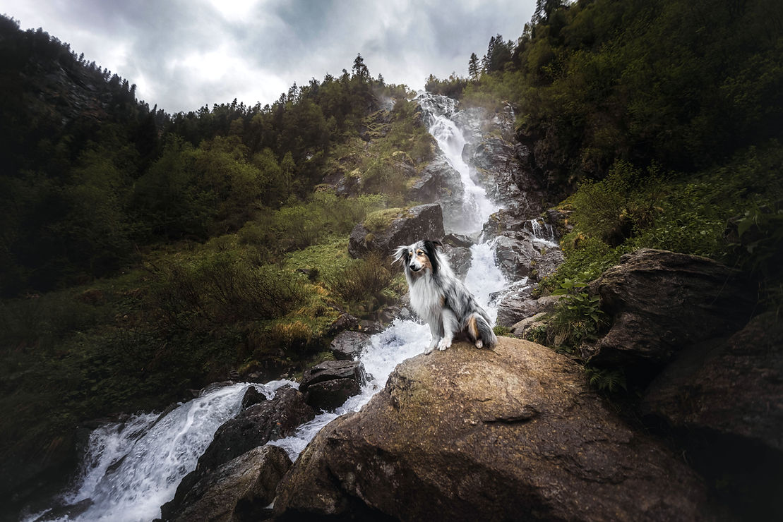 _07A9506-Edit-2.jpg