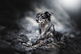 _07A9341-Edit-Edit-Edit-Edit.jpg