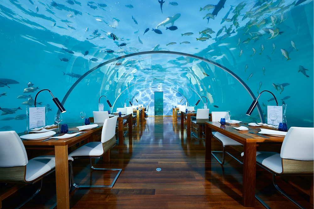 Best Themed Restaurants Around the World!