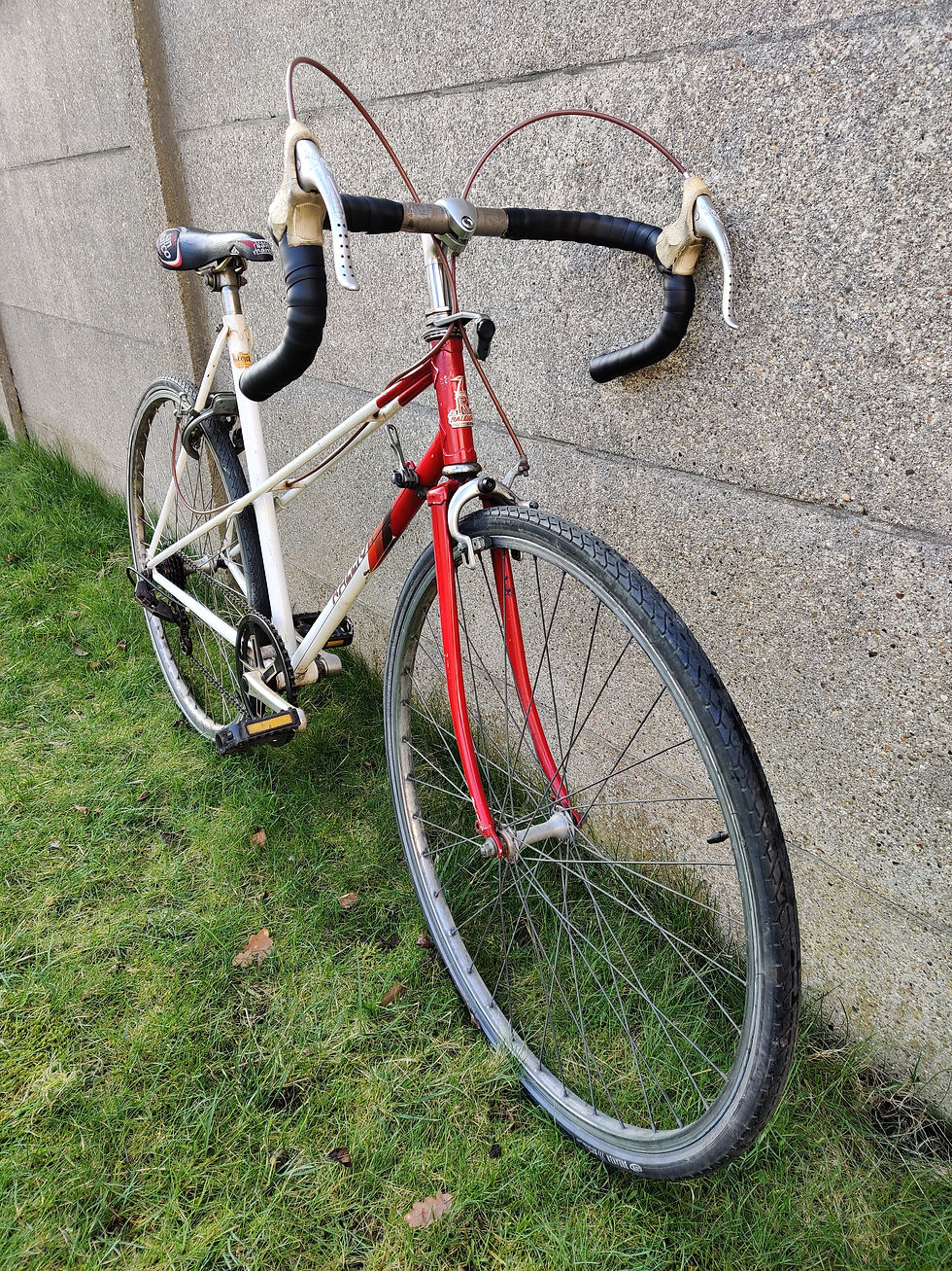 Thumbnail: Leuke Raleigh dameskoersfiets van begin jaren '80
