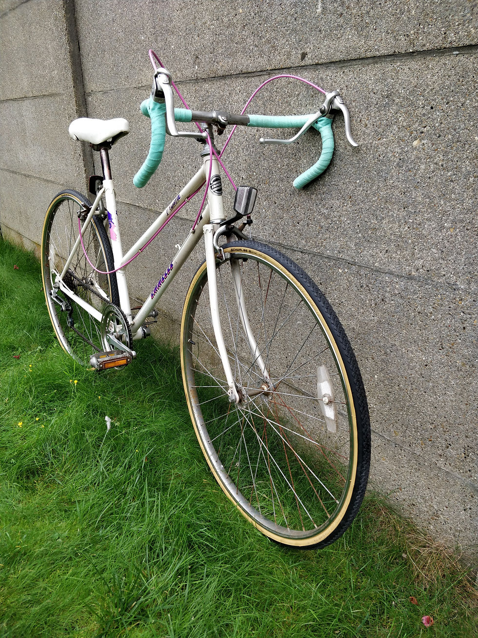 Thumbnail: Mooie Emelle Fiesta damesracefiets