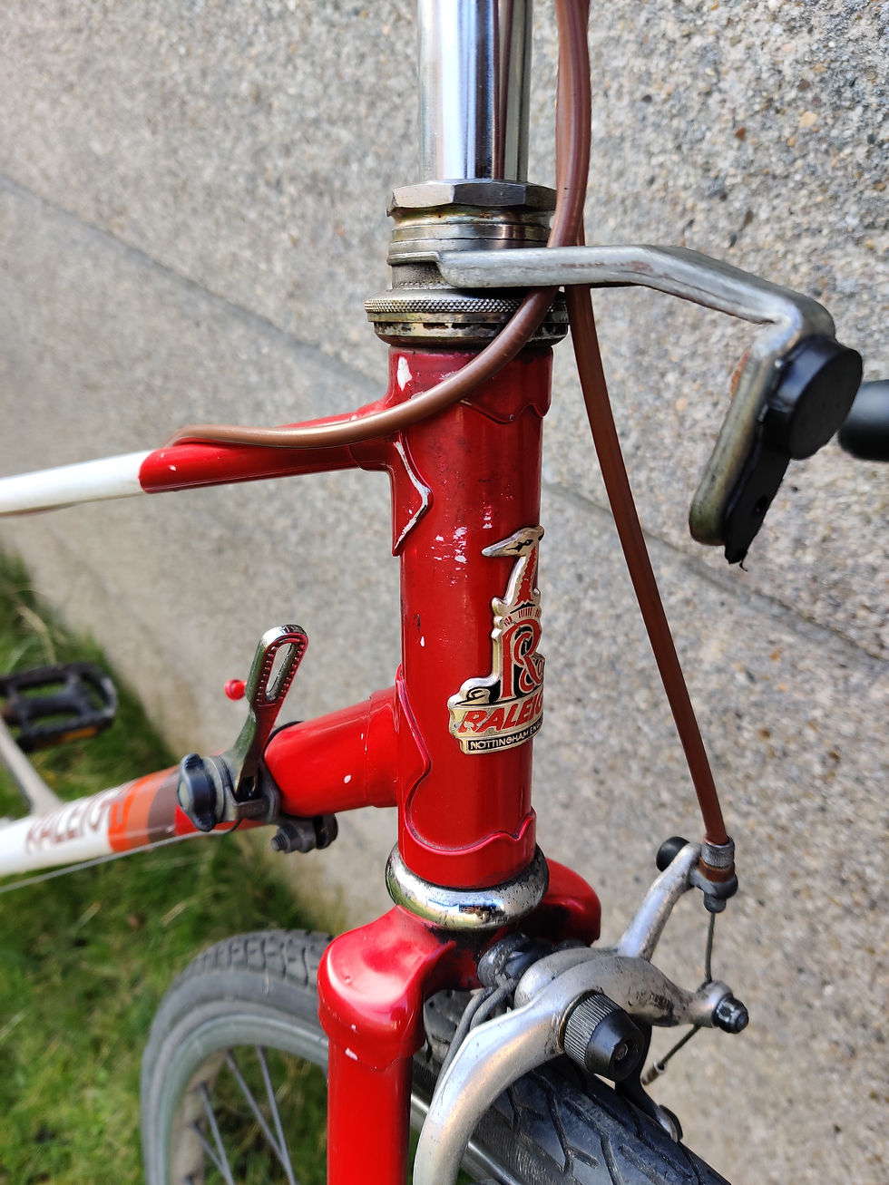 Thumbnail: Leuke Raleigh dameskoersfiets van begin jaren '80