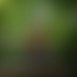 Calm Is a Superpower (And It’s Often Misunderstood)