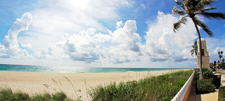 Palm Beach.jpeg