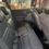 Miniatura: SPIN ACTV 1.8 ( 2023 )GNV