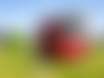 novada foodtrailer rood