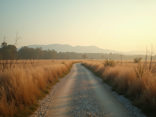 Exit Planning: Ensuring a Successful Business Transition