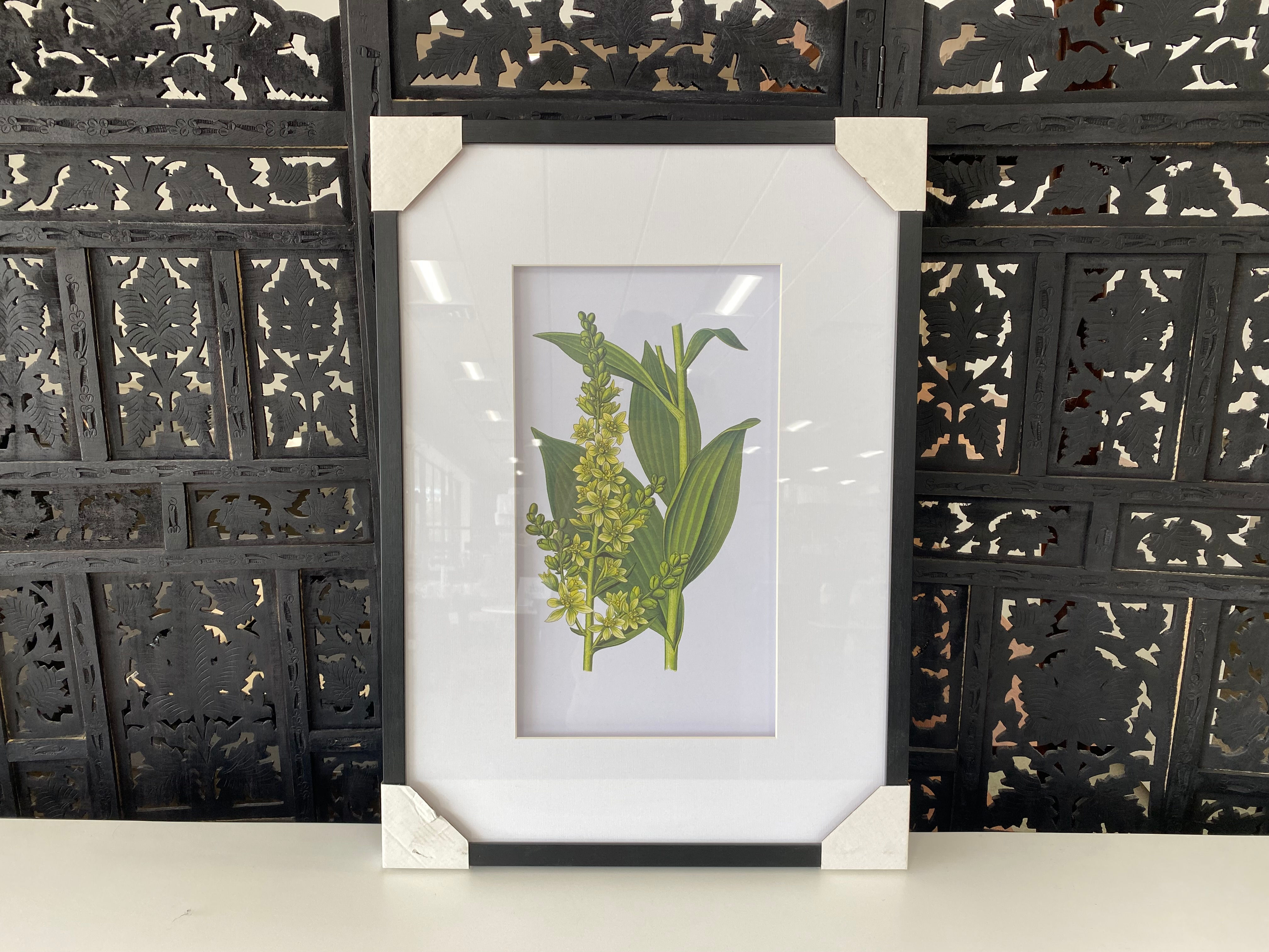 Botanical Wall Art With Black Frame