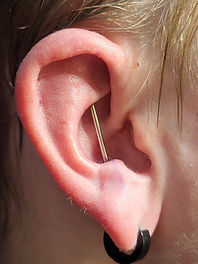 Adam ear piercing