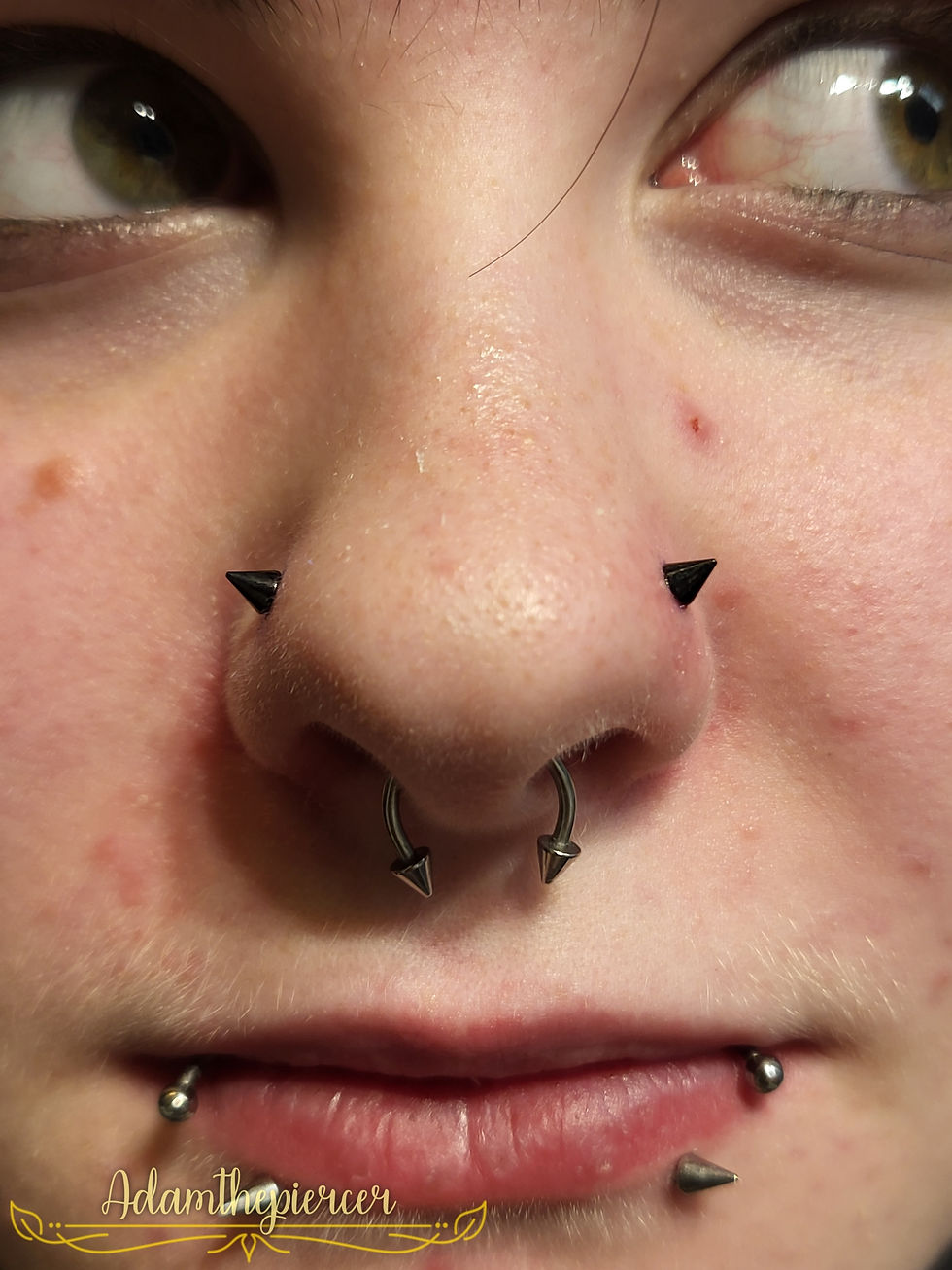 Nose piercings done in Fort Collins
