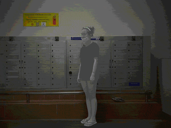 animation.gif