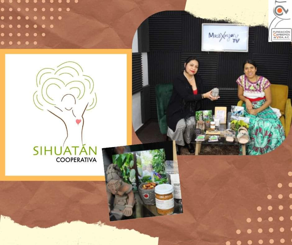 COOPERATIVA SIHUATÁN: LA RUTA DEL CULTIVO ANCESTRAL 