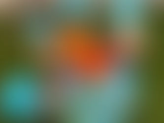 水あそびスタート🏄♀️