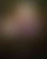 élément feu (feu de camp)