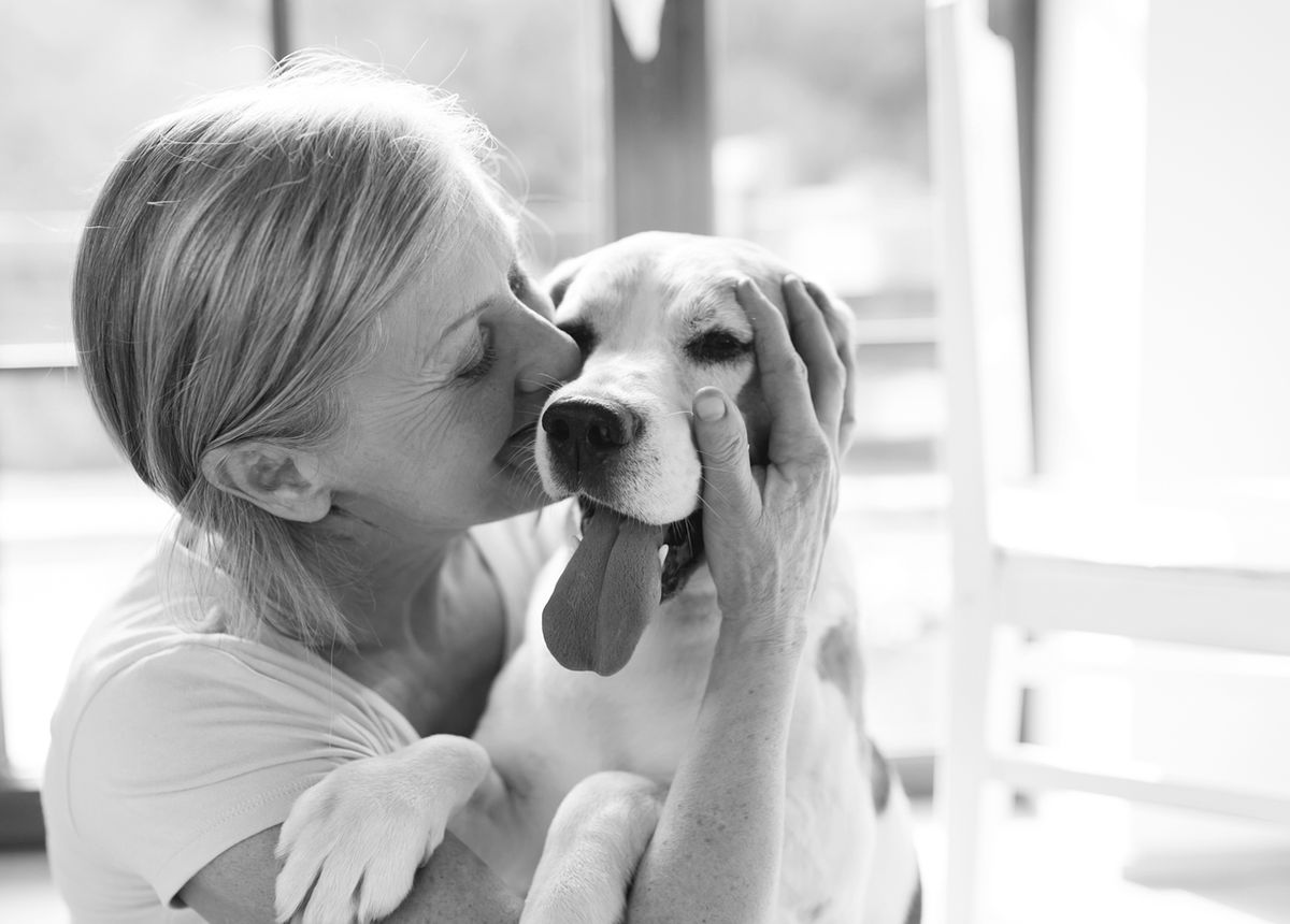 Heeli Dog Training