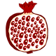 pomegranate planet fruit.png