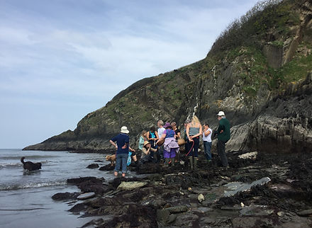 seaweed forage 1.jpeg