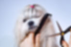 banner.jpg