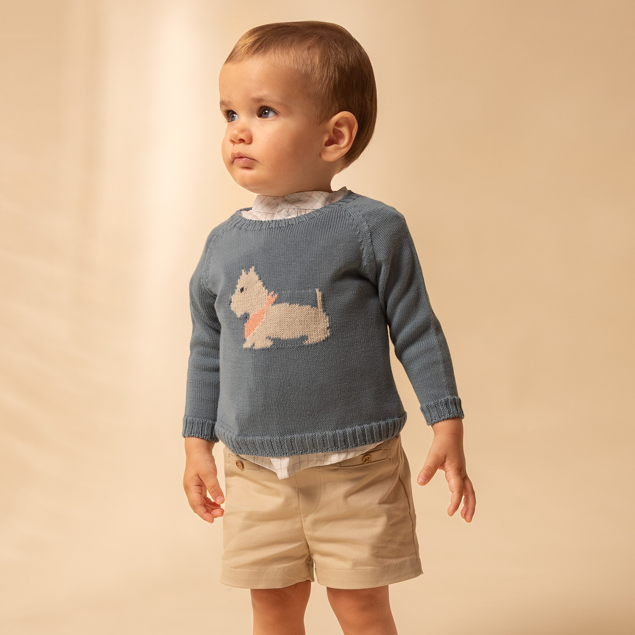 CHAQUETA TRICOT ALGODÓN CON PERRO JACQUARD