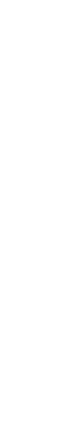 line.png
