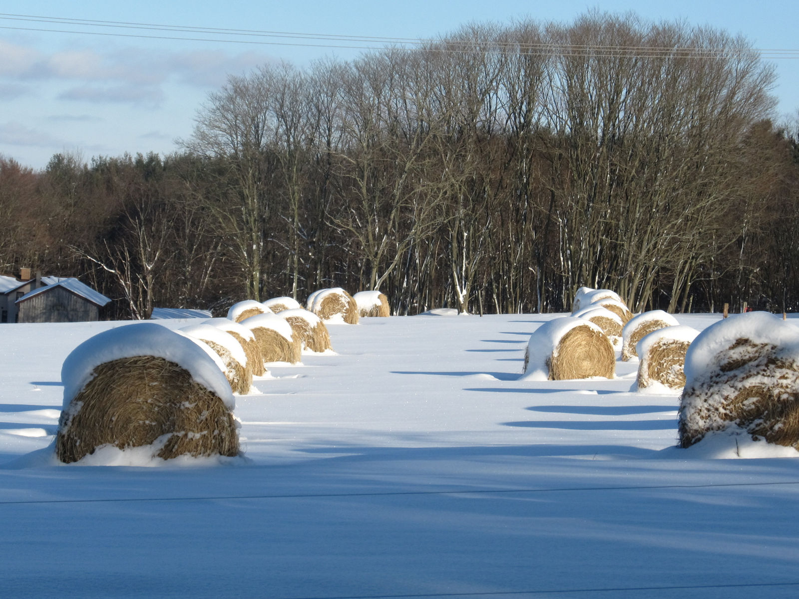 Spas Farm LLC photo 4