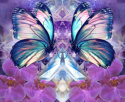 Butterfly mini copy_edited.jpg